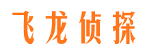 陇西市侦探公司